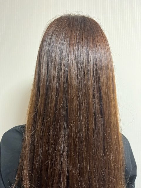 実証レビュー】使うほど美しくなる。Bioprogramming ヘアビュー